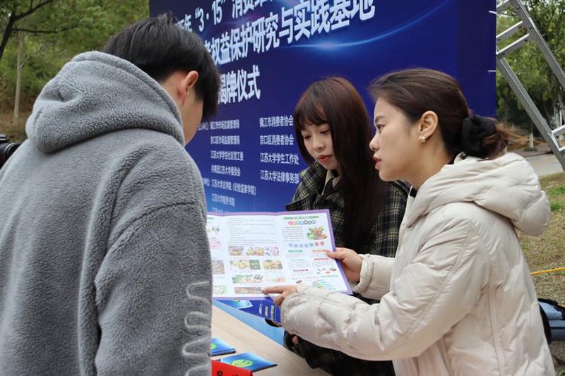 项目可行性报告：构建科学决策的蓝图