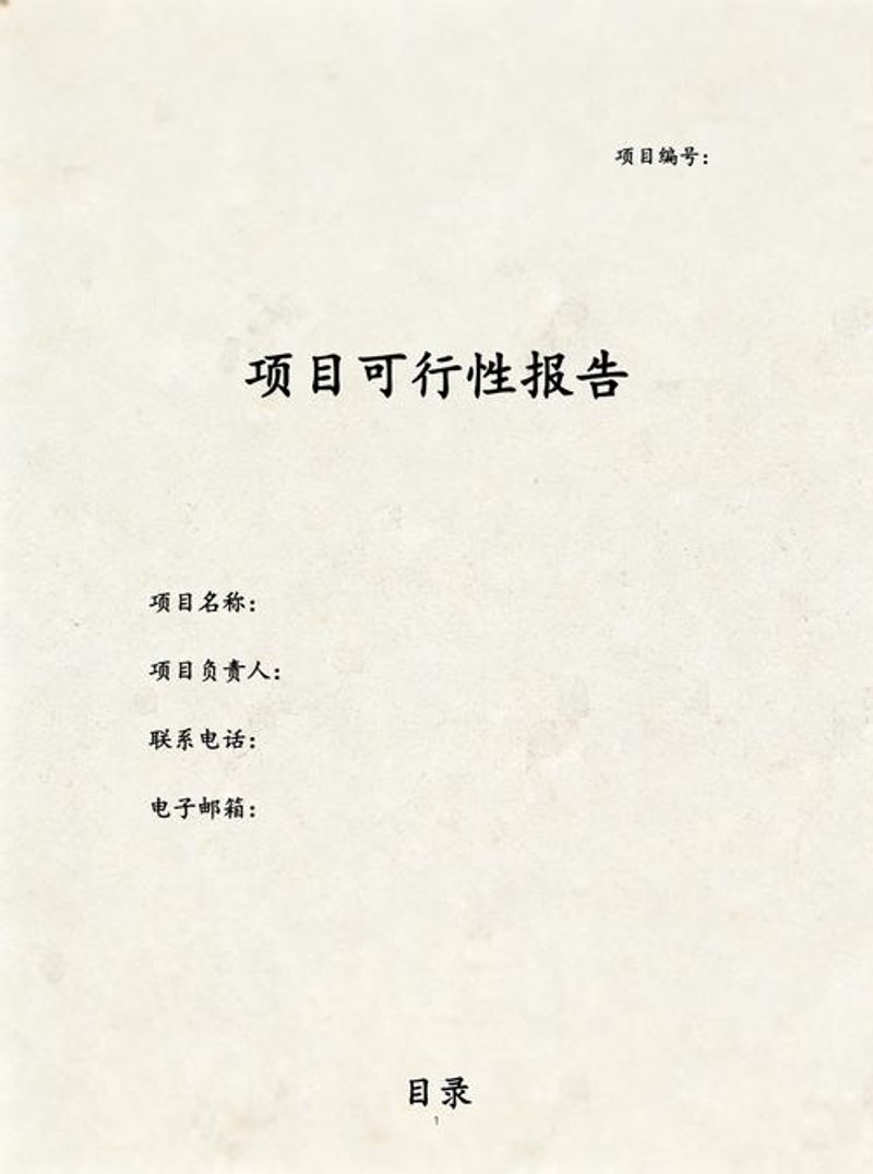 项目可行性报告的重要性探讨与行业应用分析